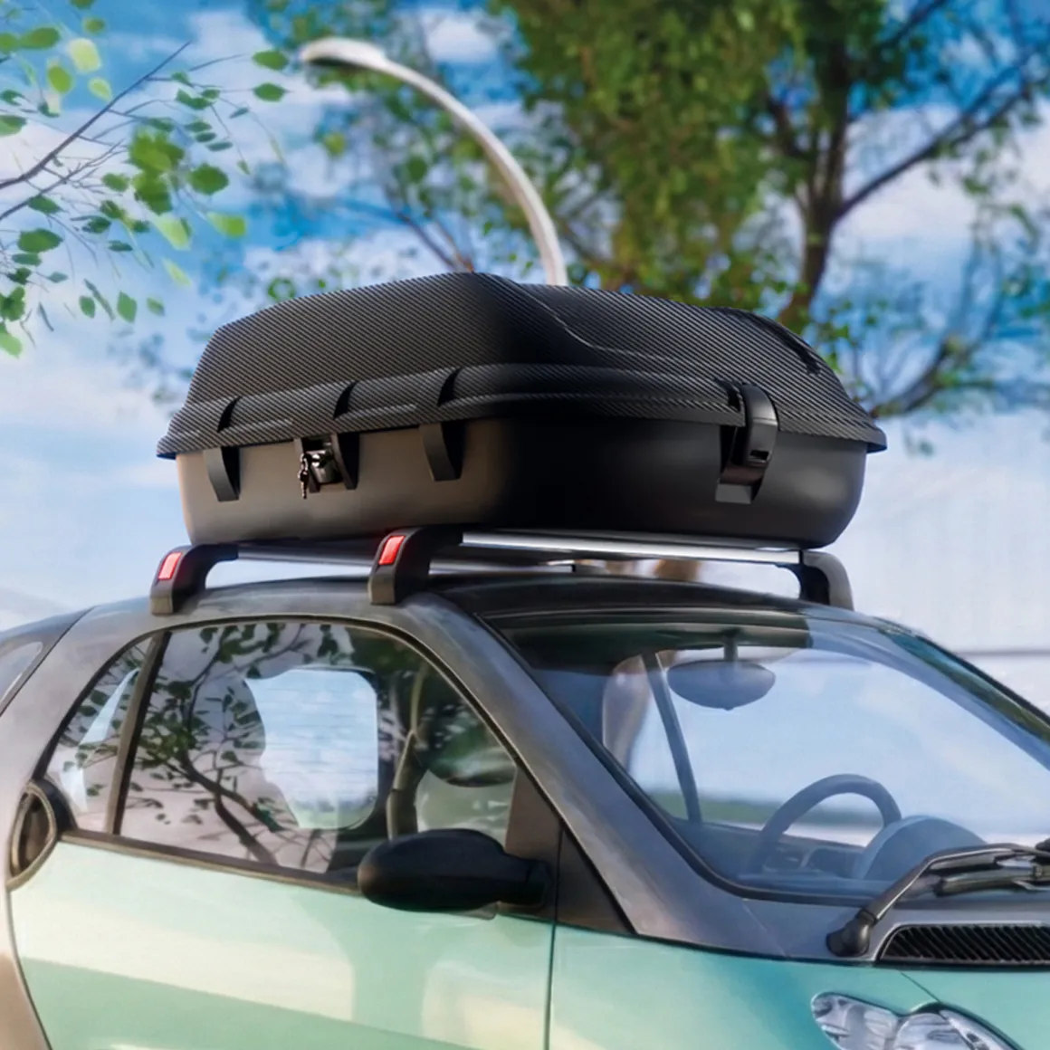Bauli > Dmora Baule Auto Finitura Effetto Carbonio Capacità 270 l, 55 kg, Apertura a Ribalta Made in Italy - Chivin Nero