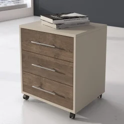 Cassettiere > Dmora Cassettiera Beige Marrone Noce 3 Cassetti con Ruote 43x40x57h cm, Apertura Scorrevole - Pisano Marrone Noce, Beige