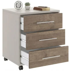 Cassettiere > Dmora Cassettiera Beige Marrone Noce 3 Cassetti con Ruote 43x40x57h cm, Apertura Scorrevole - Pisano Marrone Noce, Beige