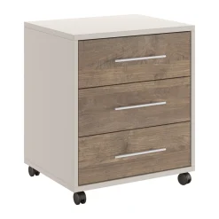 Cassettiere > Dmora Cassettiera Beige Marrone Noce 3 Cassetti con Ruote 43x40x57h cm, Apertura Scorrevole - Pisano Marrone Noce, Beige