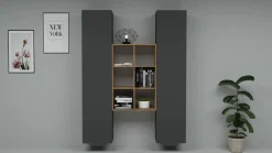 Credenza alta antracite e acero 40x30x180h cm 2 ante - Danila
