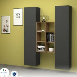 Credenza alta antracite e acero 40x30x180h cm 2 ante - Danila