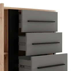 Credenza Marrone Rovere Nodi Nero Antracite 2 Ripiani 4 Cassetti 103x40x94h cm, Un'anta - Carmel