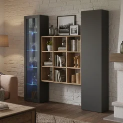 Madie|Credenze > Dmora Credenza 14 Ripiani 2 Ante 40x30x180h cm, 19 Vani - Colonno Nero Antracite
