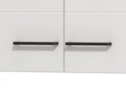 Dispensa da Cucina Bianco Nero un Ripiano 2 Ante 60x30x54h cm, Apertura Battente - Falmenta