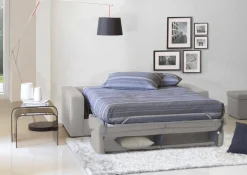 Divani Letto 2 Posti|Salotto > Dmora Divano letto classico 180x95cm - Asimi Grigio