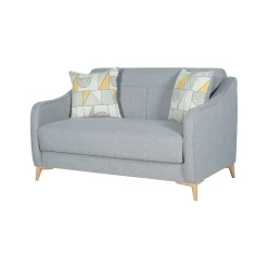 Divani Letto 2 Posti|Divano Contenitore Letto > Dmora Divano Letto 2 Posti Contenitore 142x90 cm, Lavabile - Propata Grigio Chiaro