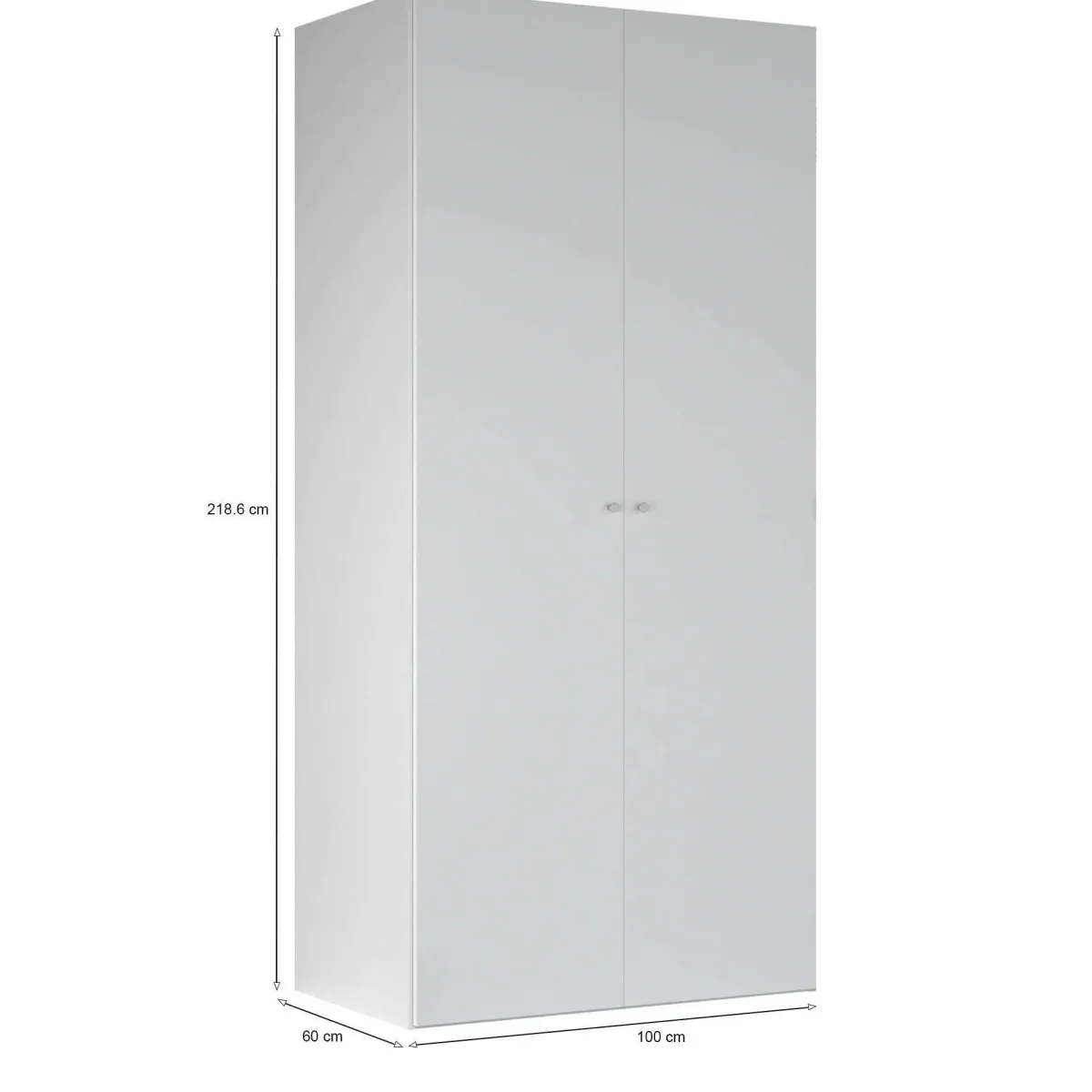 Armadi Multiuso 2 Ante > Dmora Guardaroba 2 ante salvaspazio 100x218h cm - Anagni Bianco