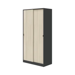 Guardaroba 2 Ante Nero Antracite Marrone Rovere 4 Ripiani Appendiabiti 100x200h cm, 2 Ante - Orgosolo