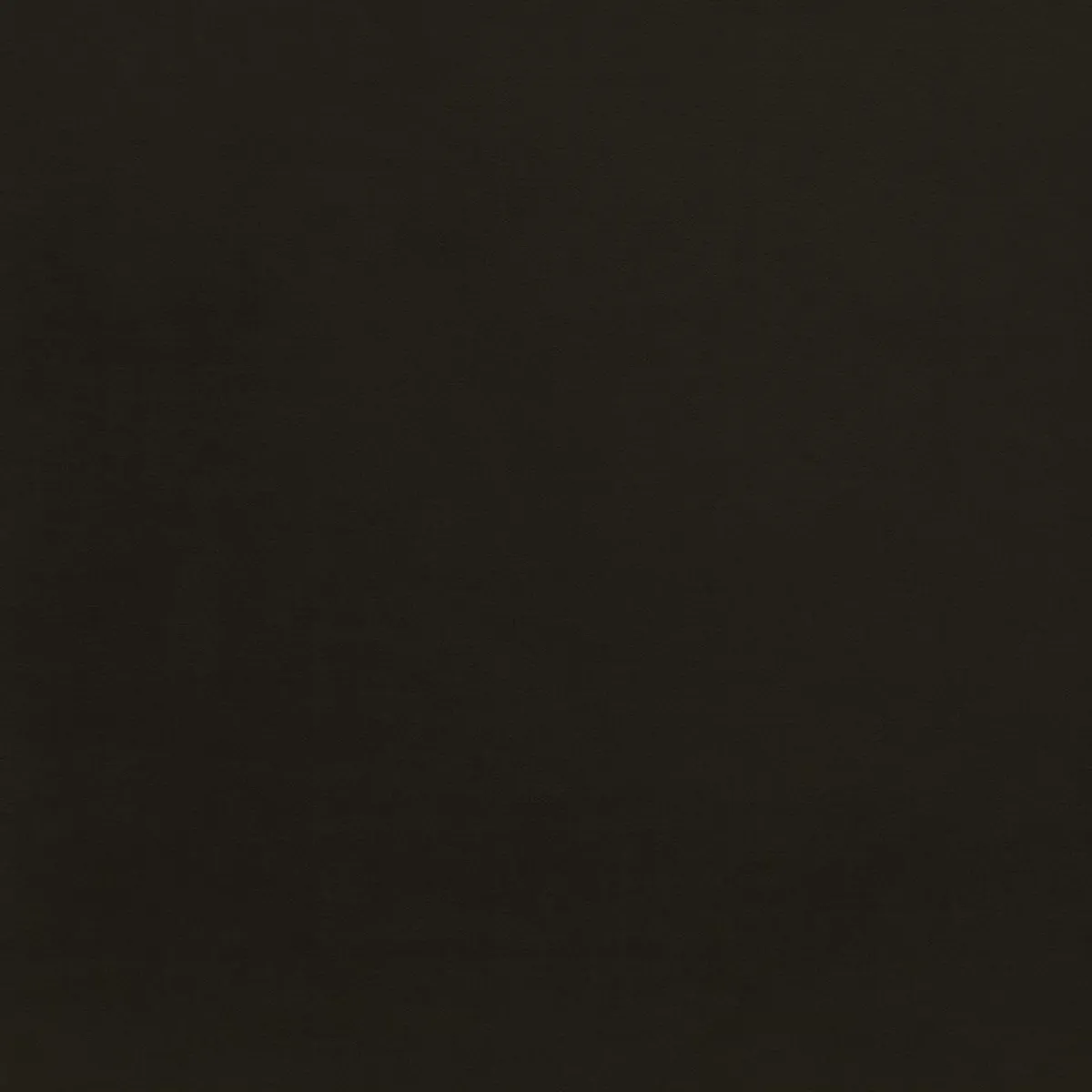 Letti Pieghevoli|Camera Da Letto > Dmora Letto doppia piazza pieghevole 50x100cm - Amorina Nero