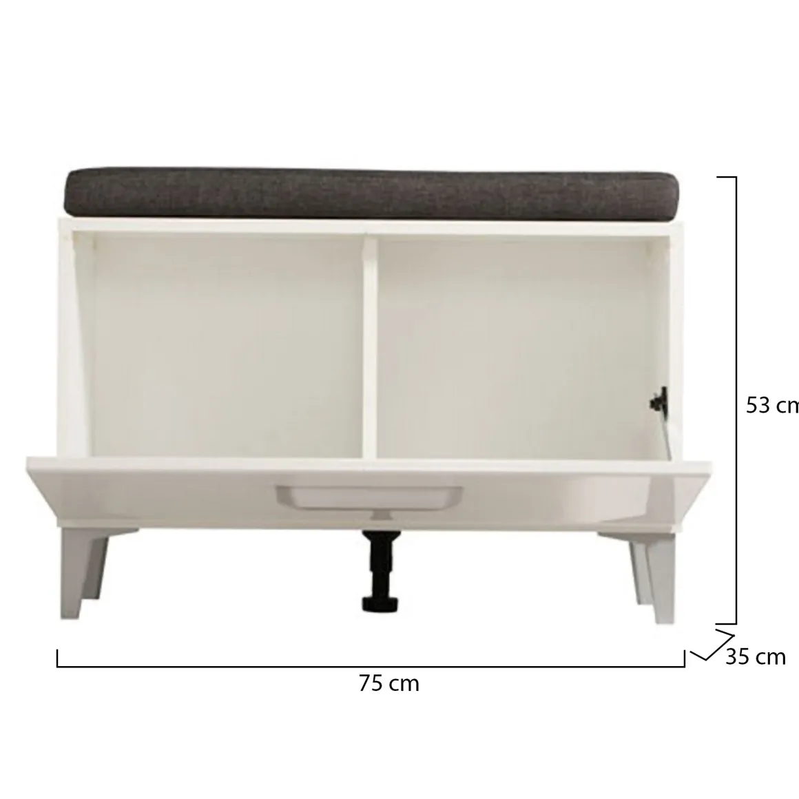 Mobile da Ingresso Bianco Grigio Scuro un Ripiano Un'anta 74.5x35x53h cm, 2 Vani - Ceranesi