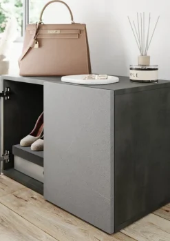 Mobili Da Ingresso > Dmora Mobile da Ingresso 2 Paia con Scarpiera 63x35x41h cm, 2 Ante - Scorrano Grigio