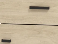 Mobili Da Ingresso > Dmora Mobile da Ingresso Marrone Rovere Chiaro Nero un Cassetto 2 Ripiani 51.5x35x98h cm, Un'anta - Trevi Nero, Marrone Rovere chiaro