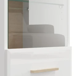 Mobile Pensile Bianco Opaco Marrone Rovere 2 Ripiani Un'anta 39x96h cm, Anta e Ripiano Dettaglio Vetro - Gonnes