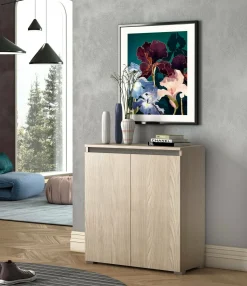 Bagno|Scarpiere > Dmora Scarpiera 2 ante olmo 80x102h cm ripiani regolabili - Astrina Marrone Olmo