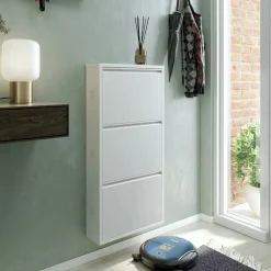 Bagno|Ingresso > Dmora Scarpiera Dpapi, 50x15h103 cm, Bianco