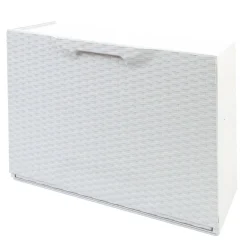 Bagno|Scarpiere > Dmora Scarpiera 6 paia bianca 51x40h cm in plastica - Aseo Bianco