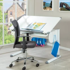 Scrivanie > Dmora Scrivania Materiale Piano in Metallo Colore Ripiano 110x55x68h cm, Sfumatura Colore Struttura - Cardeto Bianco