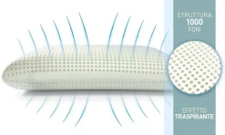 Guanciali > Dmora Set di 2 guanciali Alloro, Made in Italy, 70x39 h10 cm, Bianco Bianco, Bianco