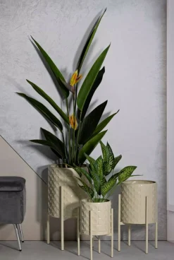Oggettistica|Vasi > Dmora Set di 3 portavasi Cisterna, 36x36 h57 cm, Giallo