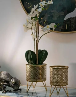 Oggettistica|Vasi > Dmora Set di 2 vasi Vif, 16x16 h20 cm, Oro