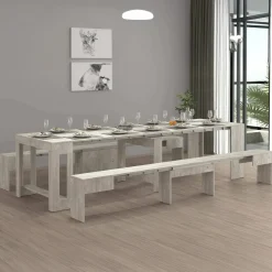 Set Tavolo E Sedie|Cucina > Dmora Set tavolo allungabile e 2 panche allungabili cemento 12 posti - Auditore Grigio Cemento
