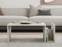 Tavolini Da Salotto > Dmora Tavolino da Salotto Bianco Marrone Noce con Piedini un Vano 105x60x35h cm, Forma Rettangolare - Medicina Marrone, Bianco Noce