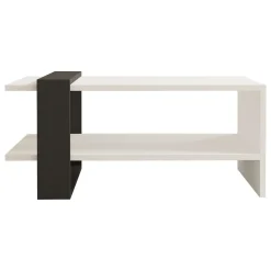 Tavolini Da Salotto > Dmora Tavolino da Salotto Bianco Nero Antracite un Vano Forma Rettangolare 80x55x35h cm, Colore Struttura Nero - Cigliano Nero, Bianco Antracite
