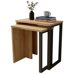 Tavolini Da Salotto > Dmora Tavolino da Salotto Marrone Rovere Nero Modulabile un Vano 80x50x32h cm, Forma Rettangolare - Paspardo Nero, Marrone Rovere