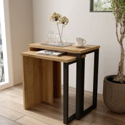 Tavolini Da Salotto > Dmora Tavolino da Salotto Marrone Rovere Nero Modulabile un Vano 80x50x32h cm, Forma Rettangolare - Paspardo Nero, Marrone Rovere