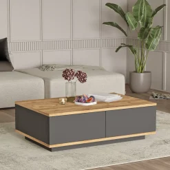 Tavolino da Salotto Marrone Rovere Nodi Nero Antracite 2 Vani Forma Rettangolare 90x60x29h cm, Colore Ripiano Marrone - Babila