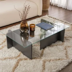 Tavolino da Salotto Nero Antracite Portariviste Forma Rettangolare 105x65x30h cm, Sfumatura Colore Struttura Antracite - Kallias