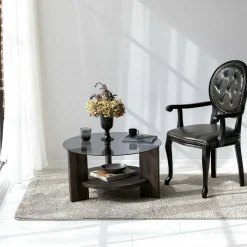 Tavolino da Salotto Nero Antracite Portariviste Forma Rotonda 75x75x40h cm, Materiale Struttura in Vetro - Felino