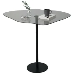 Tavolino da Salotto Nero Effetto Fume Forma Fantasia 60x45x50h cm, Sfumatura Colore Ripiano Fume - Mensa
