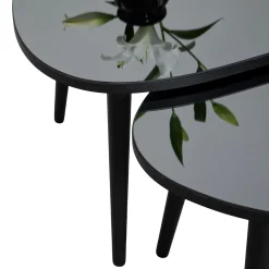 Tavolino da Salotto Nero Piano in Vetro Temperato Forma Ovale 75x55x38h cm, Sfumatura Colore Ripiano Fume - Cassiano