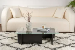 Tavolini Da Salotto > Dmora Tavolino da Salotto Portariviste Forma Rettangolare 105x65x40h cm, Materiale Piano in Vetro - Azriel Nero