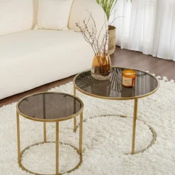 Tavolino da Salotto oro Bronzo set di 2 Tavolini Forma Rotondo 60x60x43h cm, Materiale Struttura in Vetro - Xaden