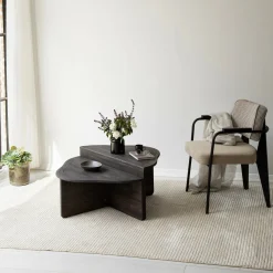 Tavolini Da Salotto > Dmora Tavolino da salotto rettangolare antracite e nero 88x50x38h cm - Tavo Nero, Nero Antracite