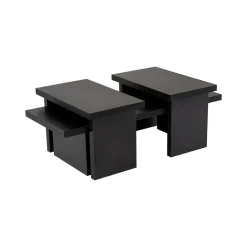 Tavolini Da Salotto > Dmora Tavolino da salotto rettangolare 110x45x41h cm - Amarantha Nero