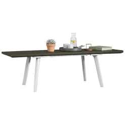 Tavoli Da Esterno > Dmora Tavolo da esterno allungabile 8-12 posti 146/292x86cm - Campana Bianco