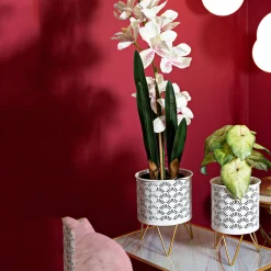 Oggettistica > Dmora Vaso Bianco oro set 2 Vasi, Portavasi Rimovibili Colore Struttura oro, - OldCro Oro, Bianco