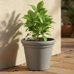 Oggettistica|Vasi > Dmora Vaso Vaso, Made in Italy - Townley Grigio