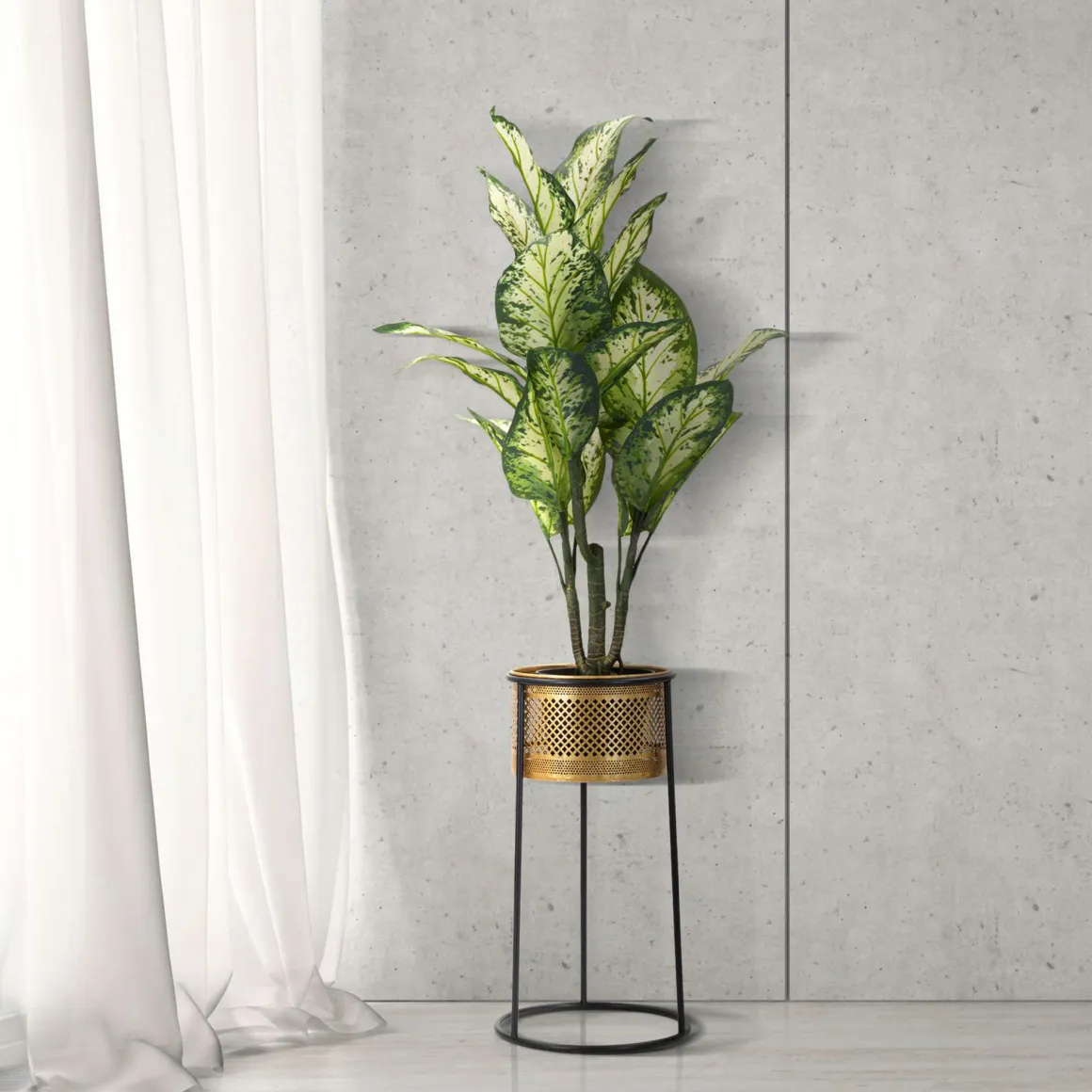 Vaso oro Nero Portavaso Rimovibile Colore Struttura Nero, - Juayua