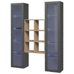 Vetrine > Dmora Vetrina 14 Ripiani Apertura Battente 40x30x180h cm, 2 Ante - Marea Nero Antracite