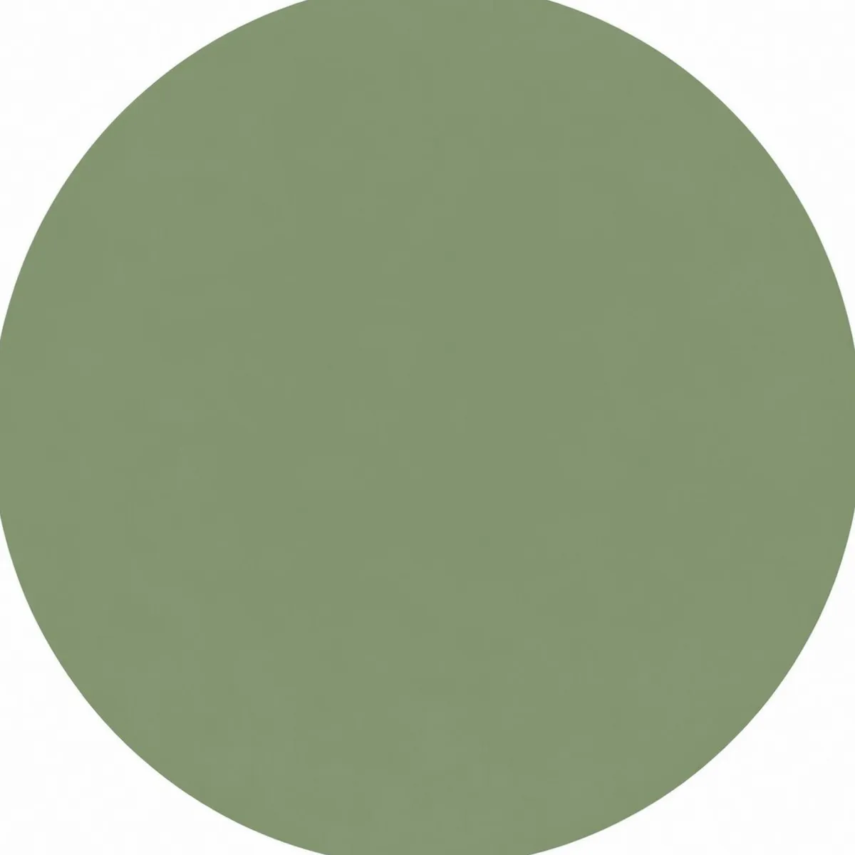 Vetrine > Dmora Vetrina 7 Ripiani 10 Vani 80x38x120.5h cm, 3 Ante - Severino Verde